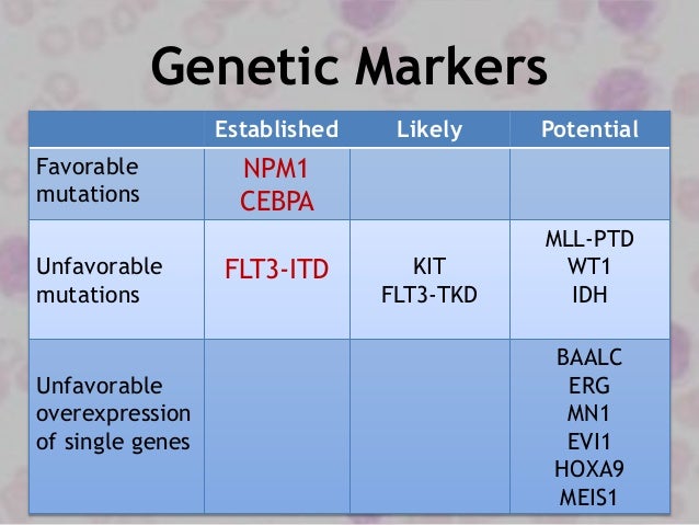 Genetic Markers In Aml Genetic Markers In Aml