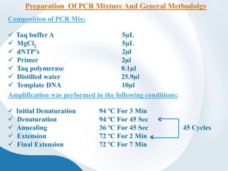 Amplification was performed in the following conditions:
 Initial Denaturation 94 ºC For 3 Min
 Denaturation 94 ºC For 45 Sec
 Annealing 36 ºC For 45 Sec 45 Cycles
 Extension 72 ºC For 2 Min
 Final Extension 72 ºC For 7 Min
Composition of PCR Mix:
 Taq buffer A 5µL
 MgCl2 5µL
 dNTP’s 2µl
 Primer 2µl
 Taq polymerase 0.1µl
 Distilled water 25.9µl
 Template DNA 10µl
Preparation Of PCR Mixture And General Methodolgy
 
