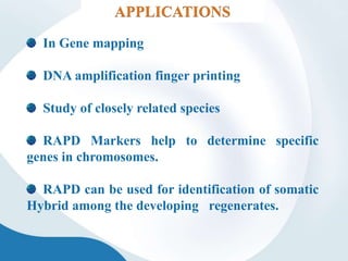 In Gene mapping
DNA amplification finger printing
Study of closely related species
RAPD Markers help to determine specific
genes in chromosomes.
RAPD can be used for identification of somatic
Hybrid among the developing regenerates.
APPLICATIONS
 