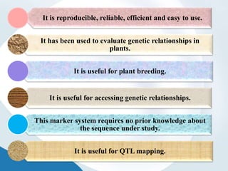 It is reproducible, reliable, efficient and easy to use.
It has been used to evaluate genetic relationships in
plants.
It is useful for plant breeding.
It is useful for accessing genetic relationships.
This marker system requires no prior knowledge about
the sequence under study.
It is useful for QTL mapping.
 
