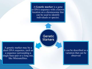 A Genetic marker is a gene
or DNA sequence with a known
location on a chromosome that
can be used to identify
individuals or species.
It can be described as a
variation that can be
observed
A genetic marker may be a
short DNA sequence, such as
a sequence surrounding a
single base-pair or a long one,
like Minisatellites.
 