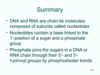 2-14
Summary
• DNA and RNA are chain-lie molecules
composed of subunits called nucleotides
• Nucleotides contain a base linked to the
1’-position of a sugar and a phosphate
group
• Phosphate joins the sugars in a DNA or
RNA chain through their 5’- and 3’-
hydroxyl groups by phosphodiester bonds
 