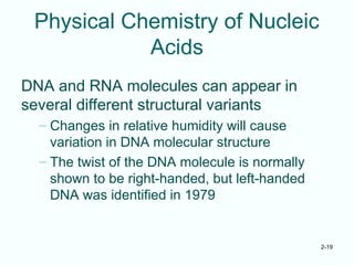 2-19
Physical Chemistry of Nucleic
Acids
DNA and RNA molecules can appear in
several different structural variants
– Changes in relative humidity will cause
variation in DNA molecular structure
– The twist of the DNA molecule is normally
shown to be right-handed, but left-handed
DNA was identified in 1979
 