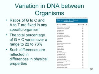 2-21
Variation in DNA between
Organisms
• Ratios of G to C and
A to T are fixed in any
specific organism
• The total percentage
of G + C varies over a
range to 22 to 73%
• Such differences are
reflected in
differences in physical
properties
 