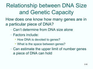 2-30
Relationship between DNA Size
and Genetic Capacity
How does one know how many genes are in
a particular piece of DNA?
– Can’t determine from DNA size alone
– Factors include:
• How DNA is devoted to genes?
• What is the space between genes?
– Can estimate the upper limit of number genes
a piece of DNA can hold
 