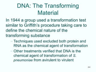 2-4
DNA: The Transforming
Material
In 1944 a group used a transformation test
similar to Griffith’s procedure taking care to
define the chemical nature of the
transforming substance
– Techniques used excluded both protein and
RNA as the chemical agent of transformation
– Other treatments verified that DNA is the
chemical agent of transformation of S.
pneumoniae from avirulent to virulent
 