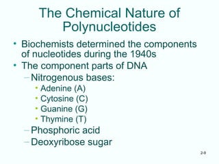 2-9
The Chemical Nature of
Polynucleotides
• Biochemists determined the components
of nucleotides during the 1940s
• The component parts of DNA
–Nitrogenous bases:
• Adenine (A)
• Cytosine (C)
• Guanine (G)
• Thymine (T)
–Phosphoric acid
–Deoxyribose sugar
 