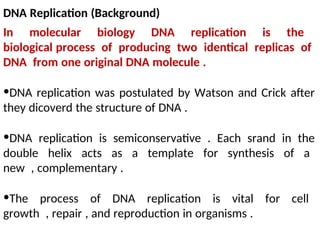 all about genetics and DNA , dna dupliation | PPT