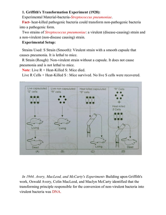 Evidence that DNA is genetic Material || RNA: roles in heredity and ...