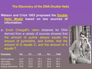 The Discovery of the DNA Double Helix
Watson and Crick 1953 proposed the Double
Helix Model based on two sources of
information:
a. Erwin Chargaff’s ratios obtained for DNA
derived from a variety of sources showed that
the amount of purine always equals the
amount of pyrimidine, and further, that the
amount of G equals C, and the amount of A
equals T.
Examples: %A %T %G %C %GC
Homo sapiens 31.0 31.5 19.1 18.4 37.5
Zea mays 25.6 25.3 24.5 24.6 49.1
Drosophila 27.3 27.6 22.5 22.5 45.0
Aythya americana 25.8 25.8 24.2 24.2 48.4
 