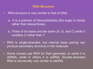 RNA Structure
• RNA structure is very similar to that of DNA.
a. It is a polymer of ribonucleotides (the sugar is ribose
rather than deoxyribose).
b. Three of its bases are the same (A, G, and C) while it
contains U rather than T.
• RNA is single-stranded, but internal base pairing can
produce secondary structure in the molecule.
• Some viruses use RNA for their genomes. In some it is
dsRNA, while in others it is ssRNA. Double-stranded
RNA is structurally very similar to dsDNA.
 