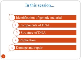 In this session...
2
Identification of genetic material
Components of DNA
Structure of DNA
Replication
Damage and repair
1
2
3
4
5
 