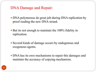 DNA Damage and Repair:
 DNA polymerase do great job during DNA replication by
proof reading the new DNA strand.
 But its not enough to maintain the 100% fidelity in
replication.
 Several kinds of damage occurs by endogenous and
exogenous agents.
 DNA has its own mechanisms to repair this damages and
maintain the accuracy of copying mechanism.
44
 
