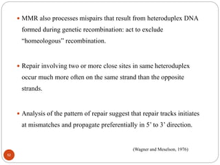  MMR also processes mispairs that result from heteroduplex DNA
formed during genetic recombination: act to exclude
“homeologous” recombination.
 Repair involving two or more close sites in same heteroduplex
occur much more often on the same strand than the opposite
strands.
 Analysis of the pattern of repair suggest that repair tracks initiates
at mismatches and propagate preferentially in 5’ to 3’ direction.
(Wagner and Meselson, 1976)
52
 