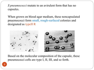 S pneumococci mutate to an avirulent form that has no
capsules.
When grown on blood agar medium, these noncapsulated
pnuemococci form small, rough-surfaced colonies and
designated as typeII R
Based on the molecular composition of the capsule, these
pneumococci cells are type I, II, III, and so forth.
9
 