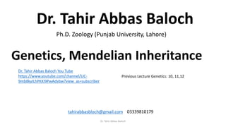 Dr. Tahir Abbas Baloch
Ph.D. Zoology (Punjab University, Lahore)
tahirabbasbloch@gmail.com 03339810179
Dr. Tahir Abbas Baloch You Tube
https://www.youtube.com/channel/UC-
9mb8kyILhPKKl9PwAdvbw?view_as=subscriber
Previous Lecture Genetics: 10, 11,12
Genetics, Mendelian Inheritance
Dr. Tahir Abbas Baloch
 