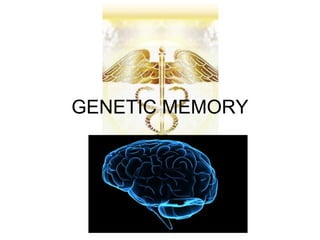 GENETIC MEMORY
 