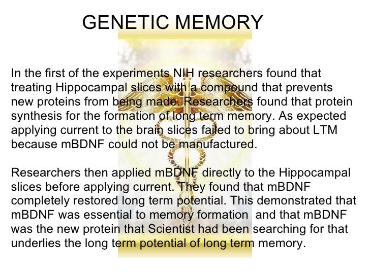 research on genetic memory