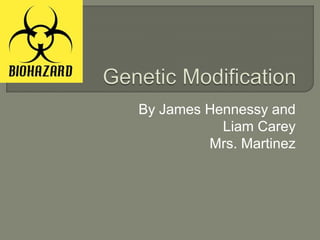 Genetic Modification By James Hennessy and  Liam Carey  Mrs. Martinez  