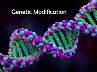 Genetic Modification

 