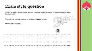 IGCSE Biology Edexcel (9-1)- Genetic modification | PDF