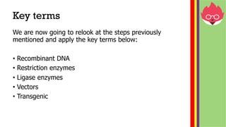 IGCSE Biology Edexcel (9-1)- Genetic modification | PDF
