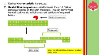 IGCSE Biology Edexcel (9-1)- Genetic modification | PDF