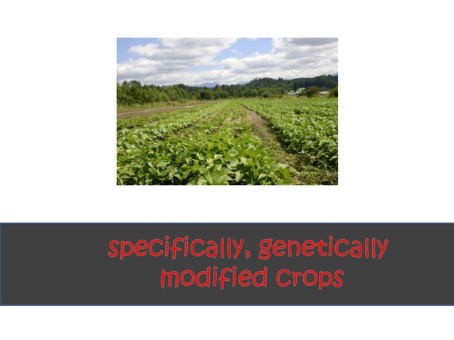 WHAT IS GENETIC MODIFICATION IN FOOD visual data 6