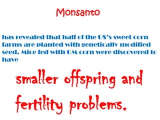 Monsanto

has revealed that half of the US’s sweet corn
farms are planted with genetically modified
seed. Mice fed with GM corn were discovered to
have


    smaller offspring and
    fertility problems.
 