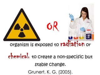 OR


Grunert, K. G. (2005).
 