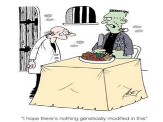 Genetic Modification In Foods