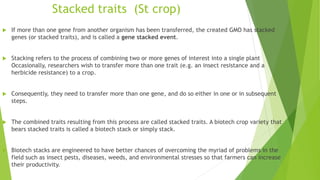 Genetic modified crops | PPTX