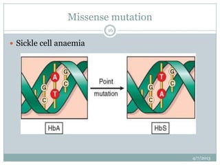Missense mutation
                        16

 Sickle cell anaemia




                                    4/7/2013
 