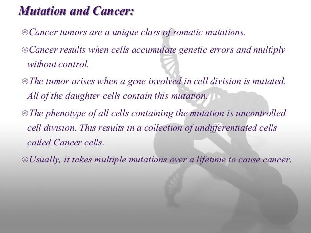 genetic mutations essay genetics essay