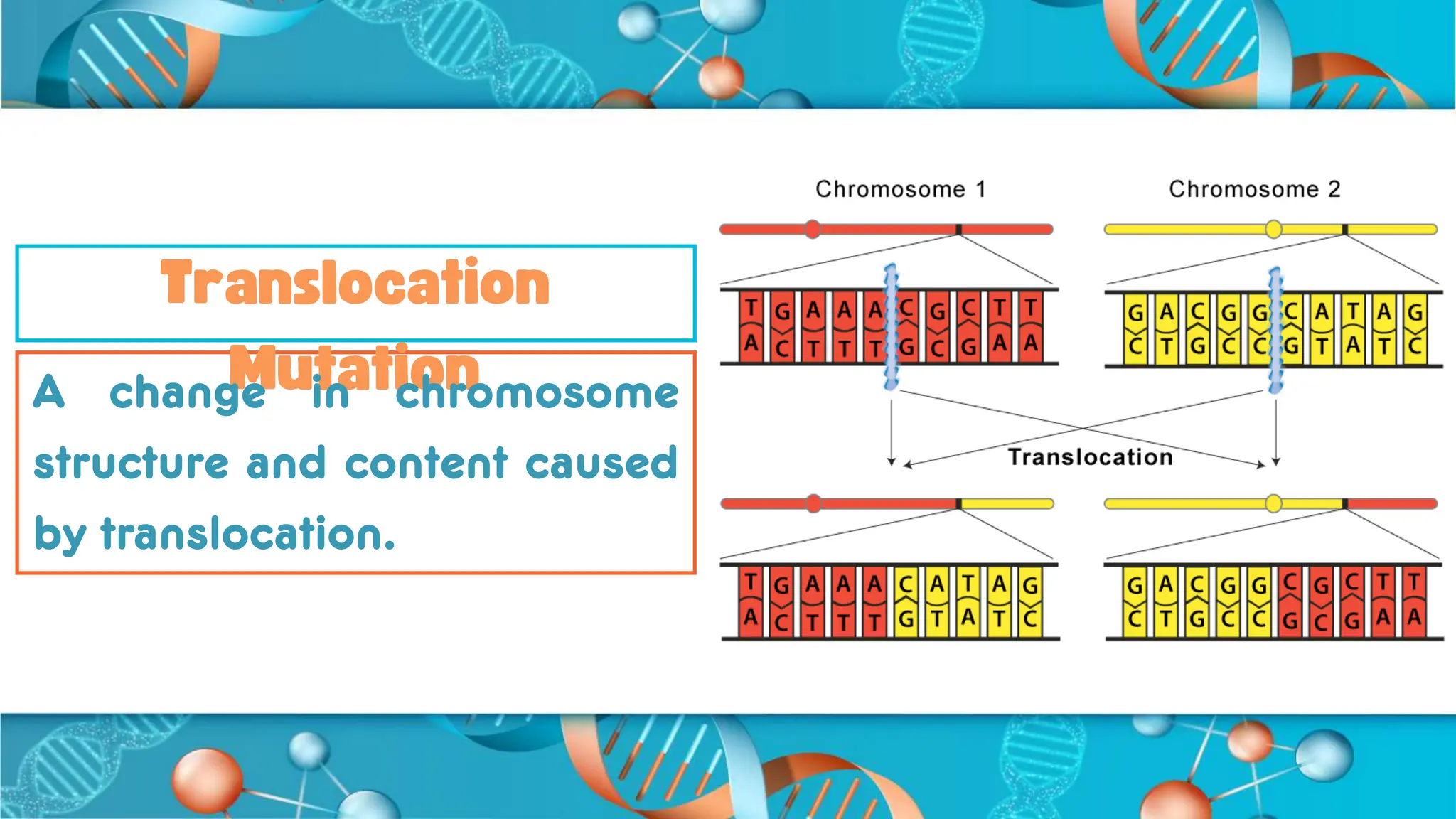 Genetic Mutations dieses A genetic mutation is a change that occurs in ...