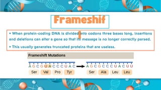 Genetic Mutations dieses A genetic mutation is a change that occurs in ...
