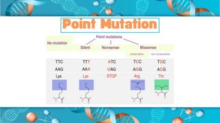Genetic Mutations dieses A genetic mutation is a change that occurs in ...