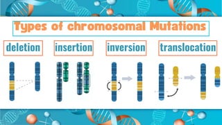 Genetic Mutations dieses A genetic mutation is a change that occurs in ...
