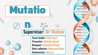 Supervisor: Dr/Asmaa
Team leader: Fady Fayez
Presenter: Abdalla Gamal
Designer: Mohamed Ragab
Data collector: Mohamed Nady
Summarizer: Hassan
 