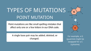 Small Mutations Genetic Mutations Science Presentation.pptx