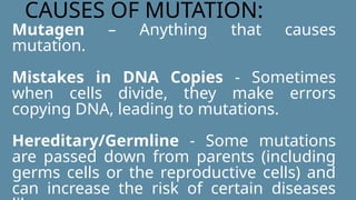 Genetic Mutations Science Presentation in Blue Orange Flat Graphic ...