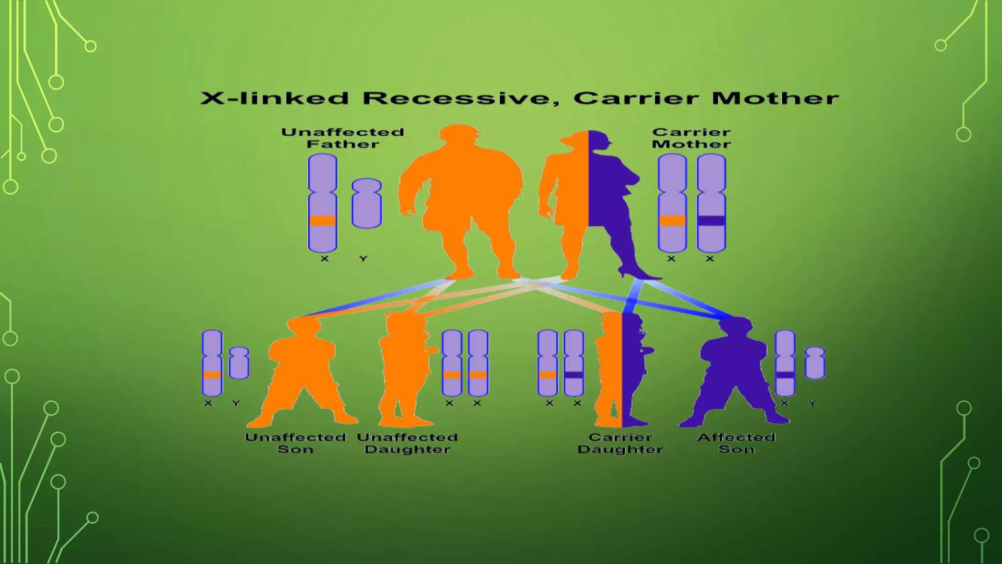 Genetic pattern of common pediatric disorder | PPTX