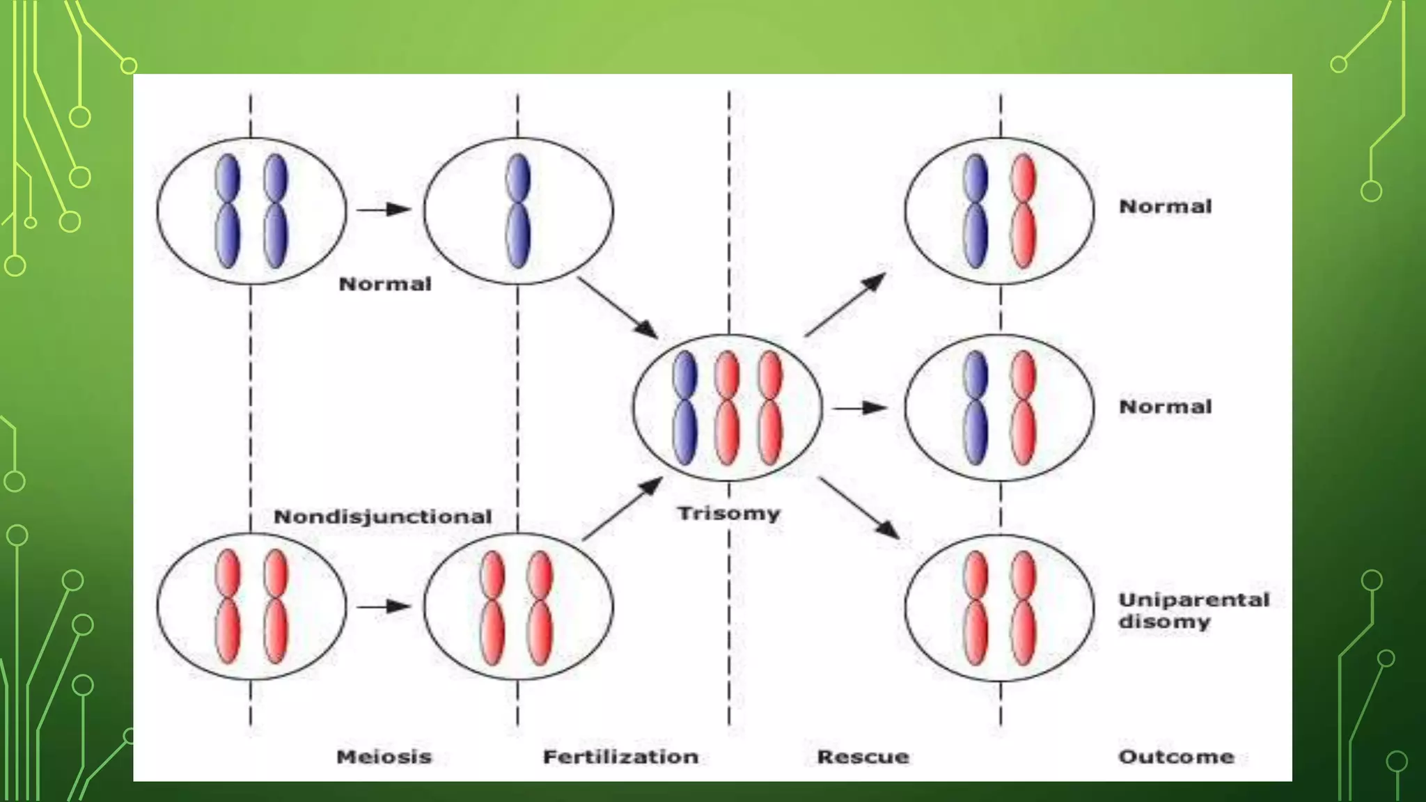 Genetic pattern of common pediatric disorder | PPTX