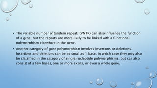 • The variable number of tandem repeats (VNTR) can also influence the function
of a gene, but the repeats are more likely to be linked with a functional
polymorphism elsewhere in the gene.
• Another category of gene polymorphism involves insertions or deletions.
Insertions and deletions can be as small as 1 base, in which case they may also
be classified in the category of single nucleotide polymorphisms, but can also
consist of a few bases, one or more exons, or even a whole gene.
 