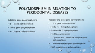 POLYMORPHISM IN RELATION TO
PERIODONTAL DISEASES
Cytokine gene polymorphisms
• IL-1 gene polymorphism
• Tnf-a gene polymorphism
• IL-10 gene polymorphism
Receptor and other gene polymorphisms
I. Fcγr gene polymorphisms
• FcγrIIa-131 H/R polymorphism
• FcγrIIIa-158 F/V polymorphism
• FcγrIIIb polymorphism
I. Cytokine and chemokine receptor gene
polymorphisms
II. Immune receptor gene polymorphism
• FMLP receptor gene polymorphism
 