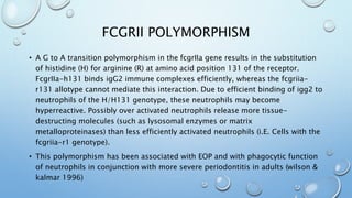 FCGRII POLYMORPHISM
• A G to A transition polymorphism in the fcgrIIa gene results in the substitution
of histidine (H) for arginine (R) at amino acid position 131 of the receptor.
FcgrIIa-h131 binds igG2 immune complexes efficiently, whereas the fcgriia-
r131 allotype cannot mediate this interaction. Due to efficient binding of igg2 to
neutrophils of the H/H131 genotype, these neutrophils may become
hyperreactive. Possibly over activated neutrophils release more tissue-
destructing molecules (such as lysosomal enzymes or matrix
metalloproteinases) than less efficiently activated neutrophils (i.E. Cells with the
fcgriia-r1 genotype).
• This polymorphism has been associated with EOP and with phagocytic function
of neutrophils in conjunction with more severe periodontitis in adults (wilson &
kalmar 1996)
 