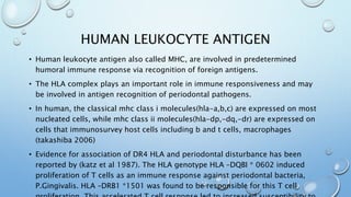 HUMAN LEUKOCYTE ANTIGEN
• Human leukocyte antigen also called MHC, are involved in predetermined
humoral immune response via recognition of foreign antigens.
• The HLA complex plays an important role in immune responsiveness and may
be involved in antigen recognition of periodontal pathogens.
• In human, the classical mhc class i molecules(hla-a,b,c) are expressed on most
nucleated cells, while mhc class ii molecules(hla-dp,-dq,-dr) are expressed on
cells that immunosurvey host cells including b and t cells, macrophages
(takashiba 2006)
• Evidence for association of DR4 HLA and periodontal disturbance has been
reported by (katz et al 1987). The HLA genotype HLA –DQBI * 0602 induced
proliferation of T cells as an immune response against periodontal bacteria,
P.Gingivalis. HLA –DRB1 *1501 was found to be responsible for this T cell
 