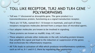 TOLL LIKE RECEPTOR, TLR2 AND TLR4 GENE
POLYMORPHISMS
• Toll was 1st discovered as drosophila gene. The gene product is a
transmembranous protein, functioning as a signal transduction receptor.
• There are 10 TLRs, named tlrs1-10 known in mammals, and each of these
receptors recognizes molecules derived from a unique class of microbial agents.
• Four adapter molecules are known to be involved in signaling.
• These proteins are known as myd88, tirap, trif, tram.
• These adapters activate other molecules in the cell, including protein kinases
that amplify the signal and lead to the induction or suppression of the genes
that orchestrate the inflammatory response.
• All TLRs leads to activation of nfkb which produces proinflammatory cytokines,
such as tnf-α, il-1 and il-2, there by regulating their expression.
 