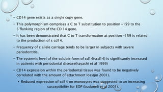 • CD14 gene exists as a single copy gene.
• This polymorphism comprises a C to T substitution to position -159 to the
5’flanking region of the CD 14 gene.
• It has been demonstrated that C to T transformation at position -159 is related
to the production of s cd14.
• Frequency of c allele carriage tends to be larger in subjects with severe
periodontitis.
• The systemic level of the soluble form of cd14(scd14) is significantly increased
in patients with periodontal disease(hayashi et al 1999)
• CD14 expression within the periodontal tissue was found to be negatively
correlated with the amount of attachment loss(jin 2001).
• Reduced expression of cd14 on monocytes was suggested to an increasing
susceptibility for EOP (buduneli et al 2001).
 