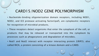 CARD15/NOD2 GENE POLYMORPHISM
• Nucleotide-binding oligomerization domain receptors, including NOD1,
NOD2, and ICE protease activating factor(ipaf), are cytoplasmic receptors
for recognition of microbial products.
• These receptors detect organisms that enter the cytoplasm of the cell, or
products that may be released or transported into the cytoplasm by
processes such as phagocytosis and degradation of microbes.
• Nod1 and Nod2 interact with receptor interacting protein 2(RIP2), also
called RICK, a protein consisting of a kinase domain and a CARD.
 